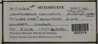 Image Associated With the Occurence